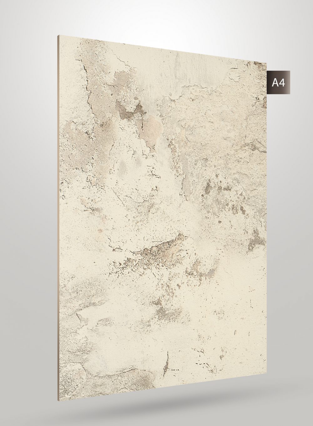 CE 1551