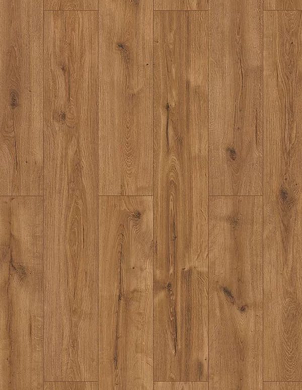 SA-853 Cubana Oak