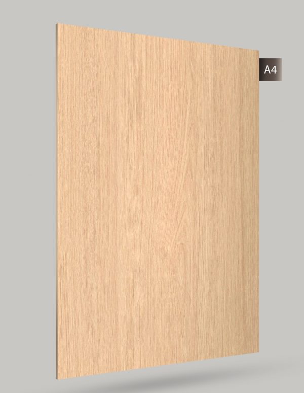 RTX1-CT 151