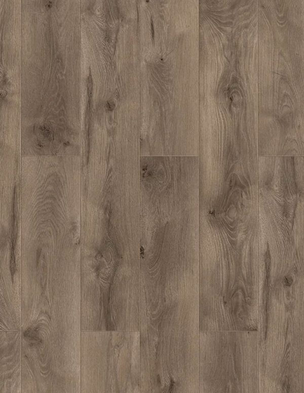 S-841A Mountain Hemlock