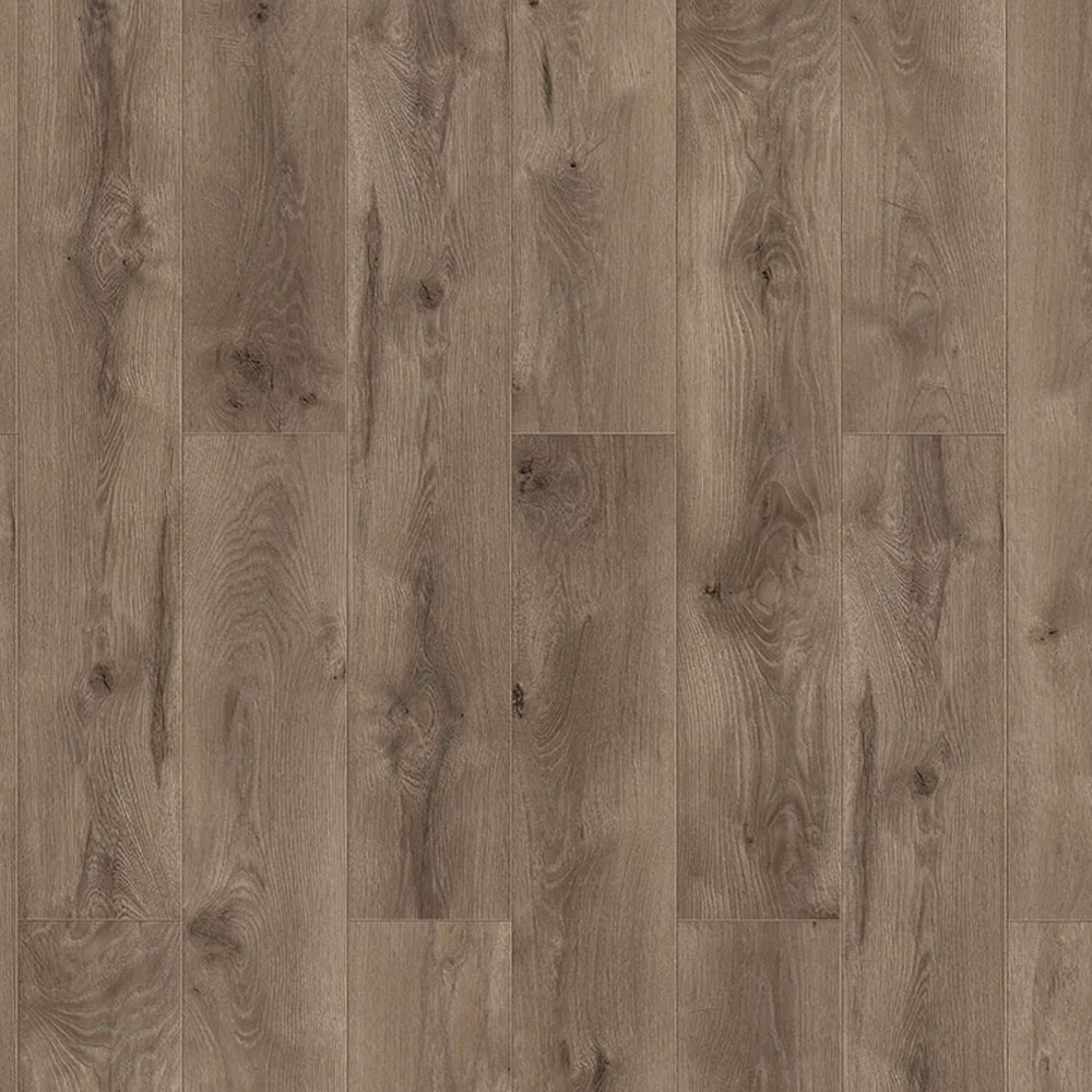 S-841A Mountain Hemlock