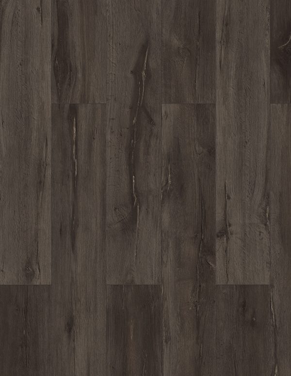 SAL-901 Vero Black Earth